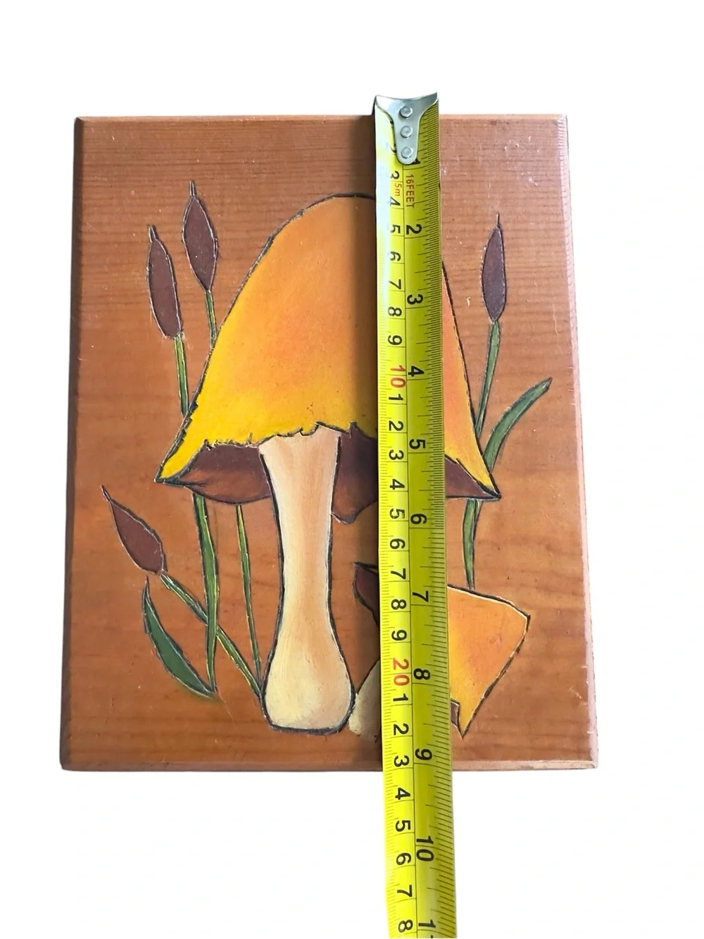 Vintage 1970's Hand Painted Mushrooms On Wood Wall Hanging Picture Retro Art MCM